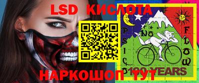 прущие грибы Тверь