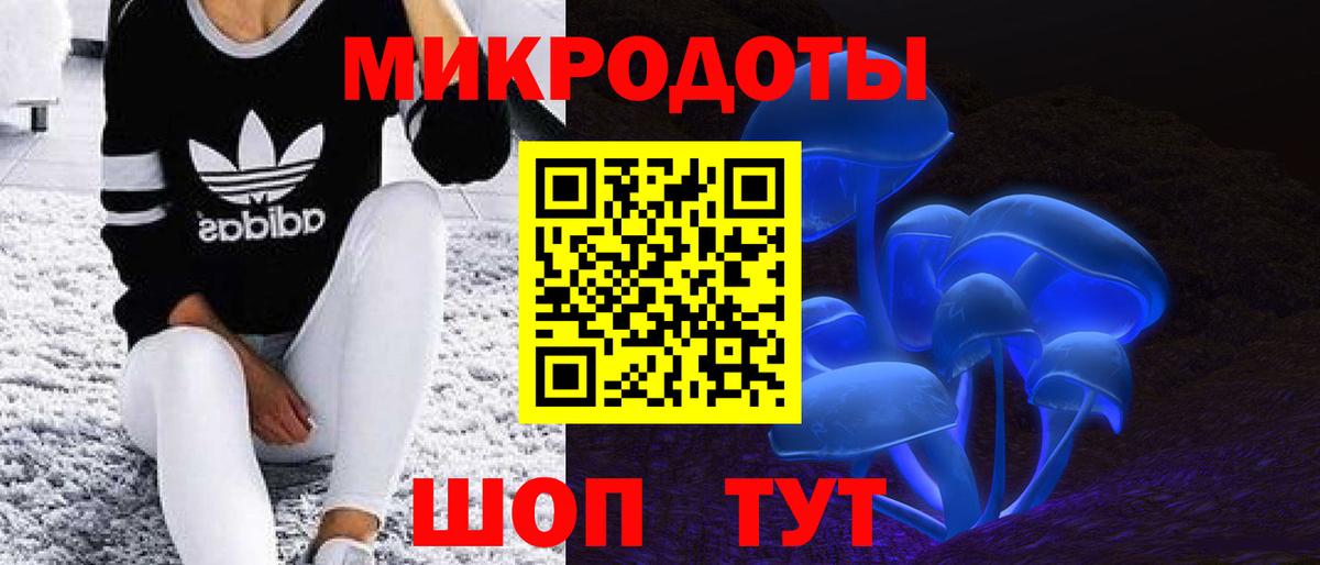Псилоцибиновые грибы Psilocybine cubensis Муром