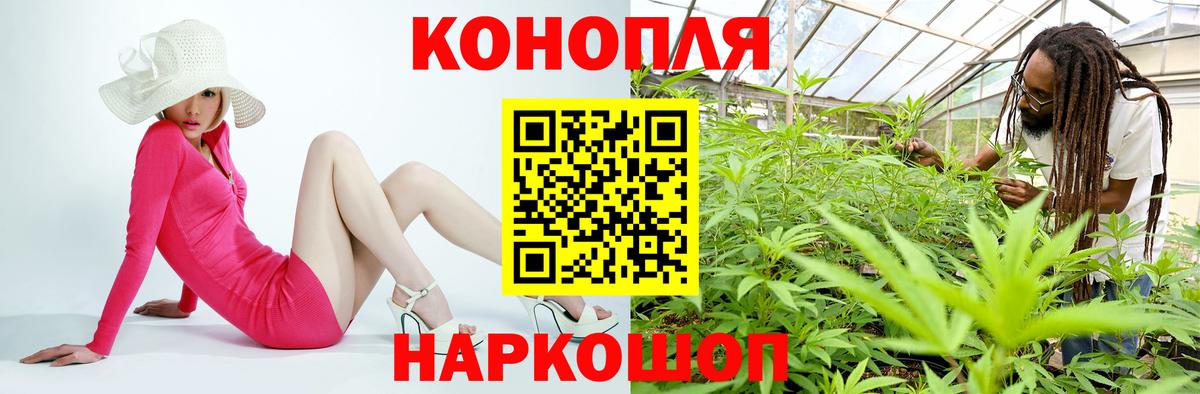 Бошки марихуана Amnesia Муром