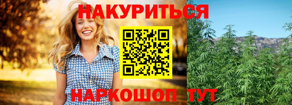 Каннабис тримм  Вход с VPN  Муром  Бошки марихуана сатива 